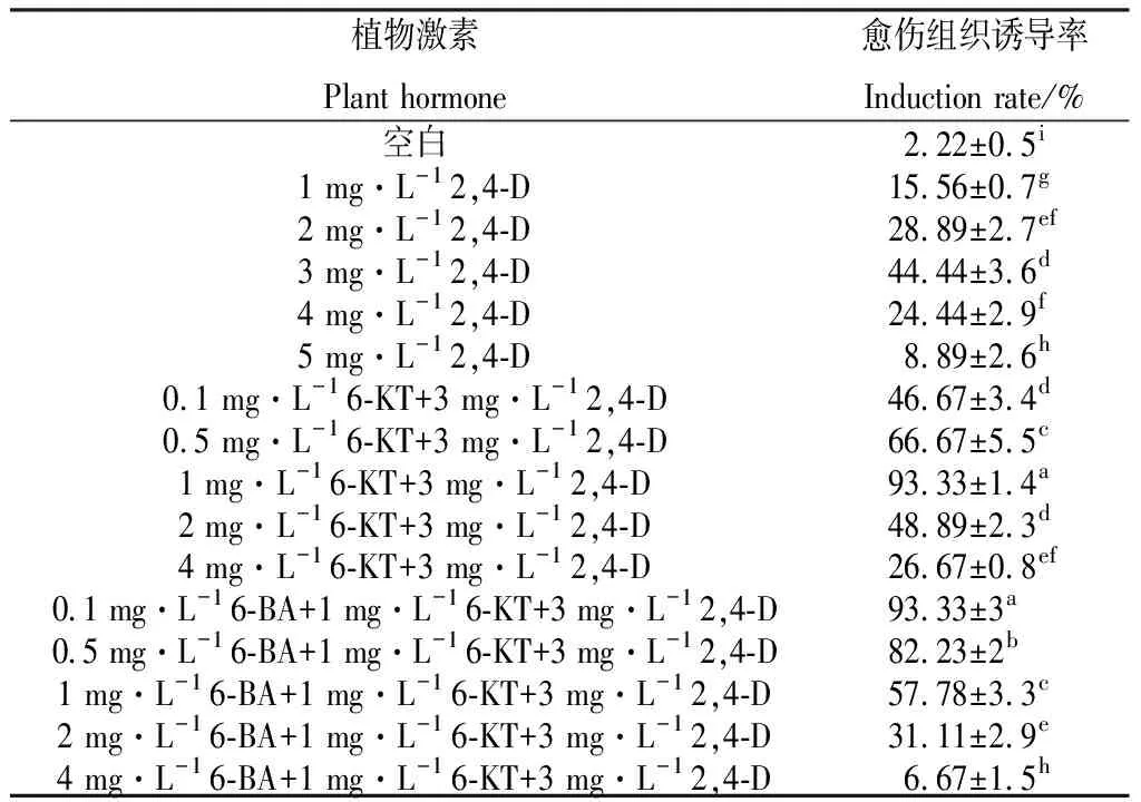 图片[5]-美洲狼尾草组织培养再生体系的建立-游戏花园