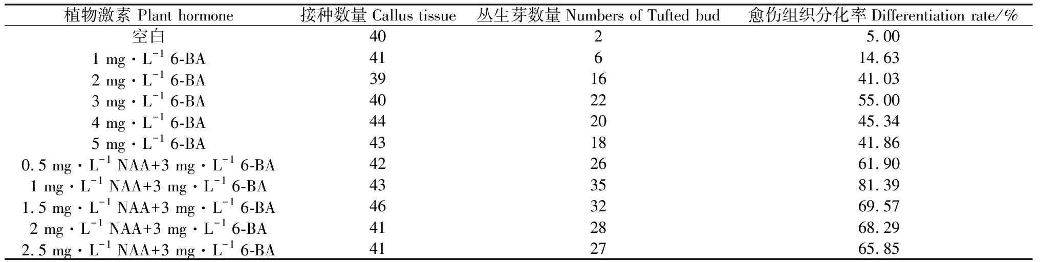 图片[6]-美洲狼尾草组织培养再生体系的建立-游戏花园