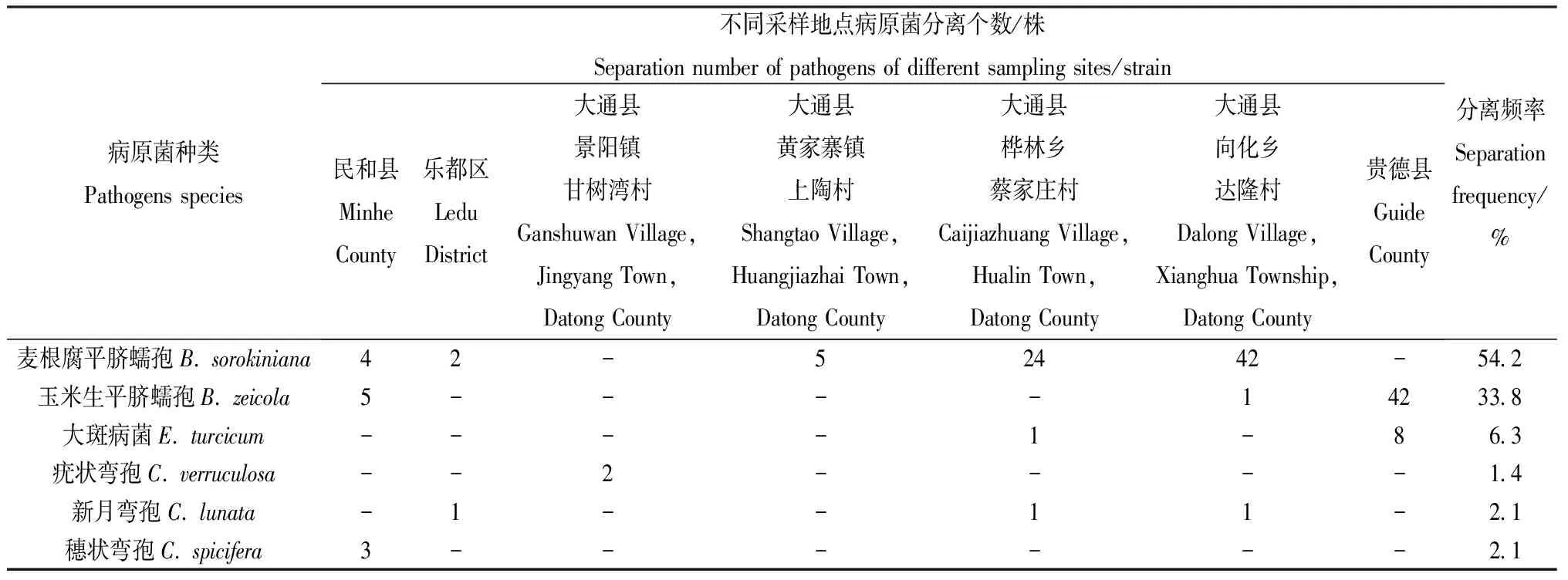 图片[2]-青贮玉米蠕形菌的分离鉴定及其致病性分析-游戏花园