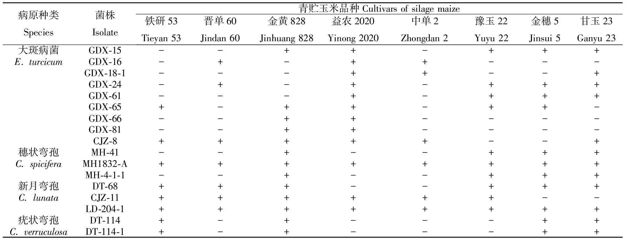 图片[8]-青贮玉米蠕形菌的分离鉴定及其致病性分析-游戏花园