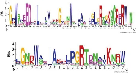图片[3]-白羊草BiMYB52基因的克隆及转基因拟南芥抗旱性表达分析-游戏花园