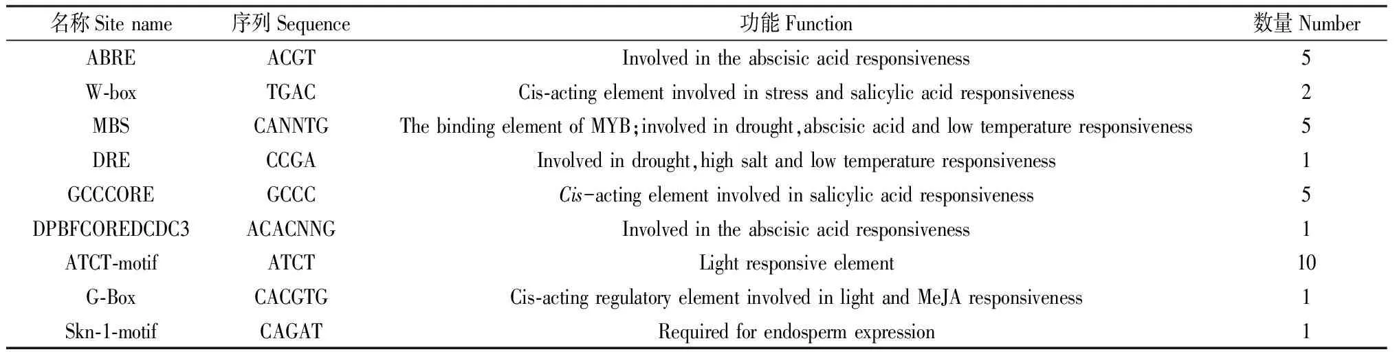 图片[7]-白羊草BiMYB52基因的克隆及转基因拟南芥抗旱性表达分析-游戏花园