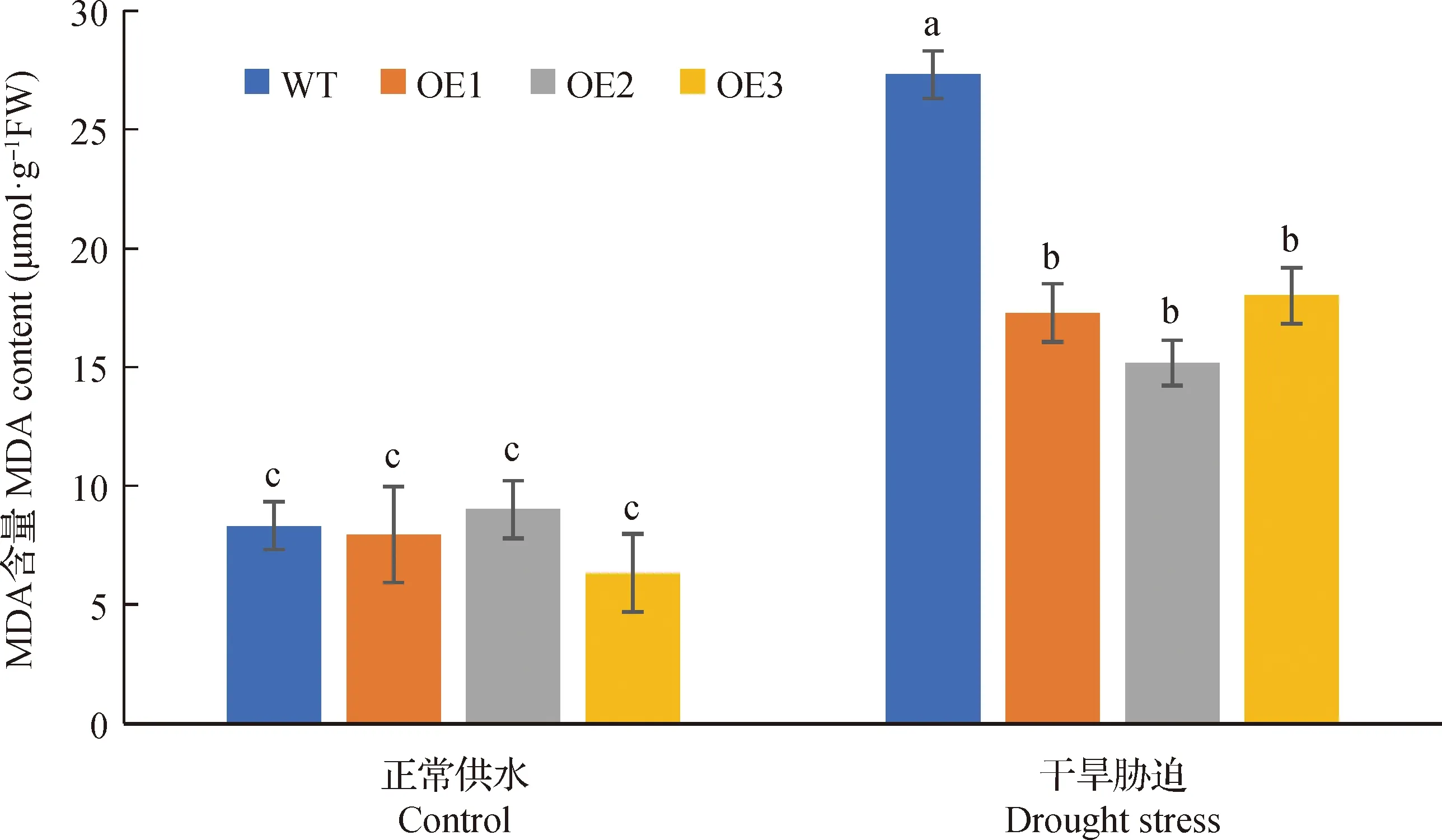图片[12]-白羊草BiMYB52基因的克隆及转基因拟南芥抗旱性表达分析-游戏花园