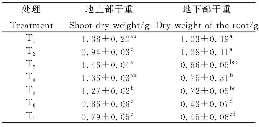 图片[5]-不同隔离层对青绿苔草无土草皮质量的影响-游戏花园