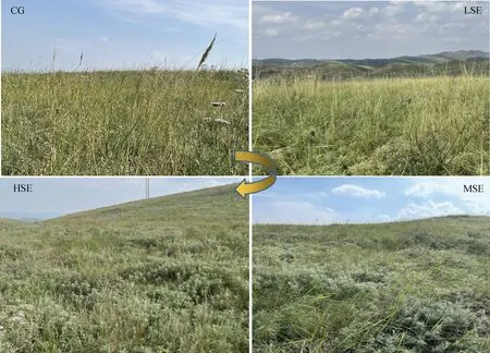 图片[2]-宁夏云雾山典型草原半灌木扩张过程中植物种间联结性研究-游戏花园