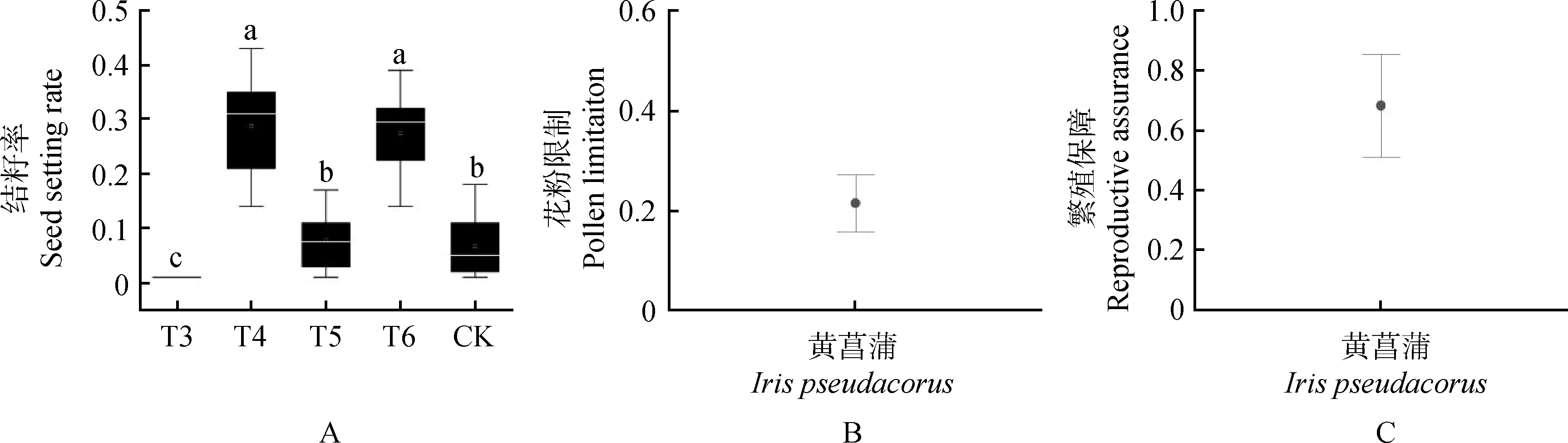 图片[8]-黄菖蒲花部特征及繁育习性研究-游戏花园