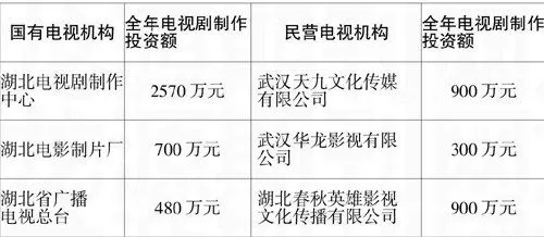 湖北民营电视的现状与发展策略-游戏花园